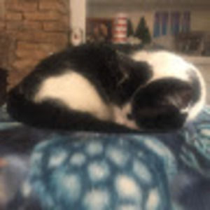 Meet your Posher, Jasmine